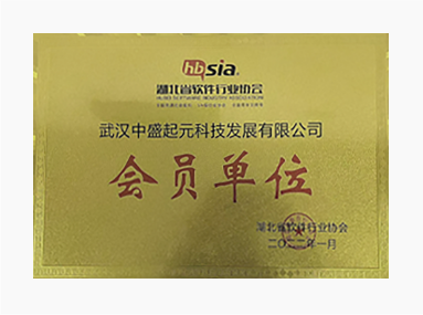 武漢中盛起元科技發展有限公司
